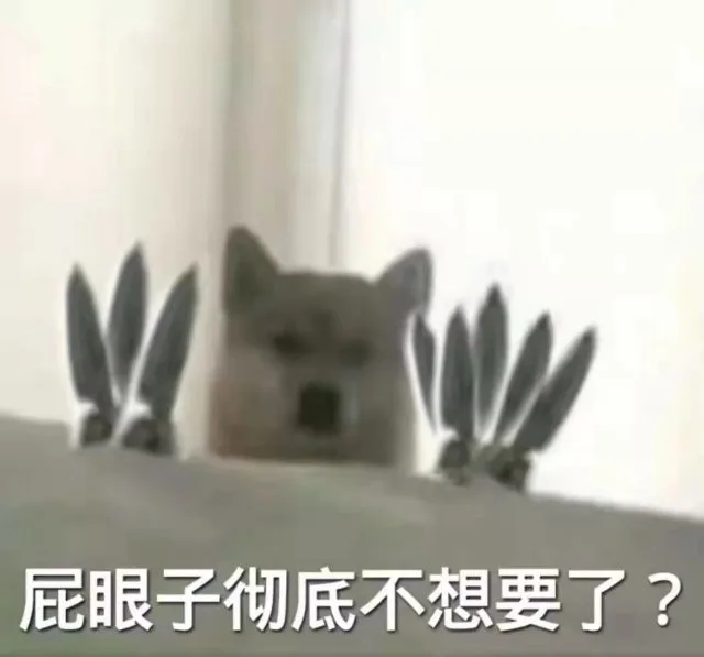 屁眼子彻底不想要了？（屁眼子彻底不想要了？）