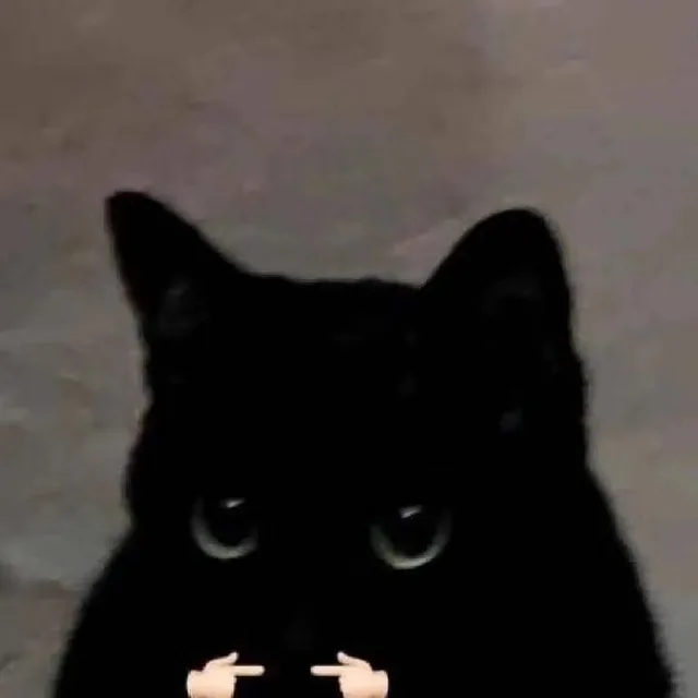 猫咪揣手手表情包（猫咪揣手手表情包）