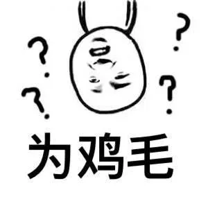 为鸡毛？？