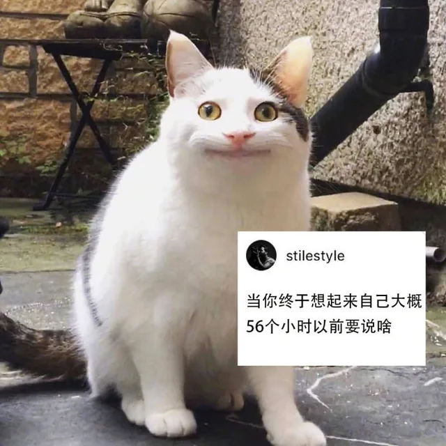 当你终于想起来自己大概56个小时以前要说啥