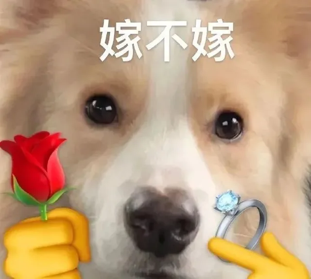 嫁不嫁（嫁不嫁）