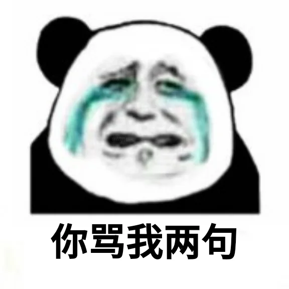 你骂我两句