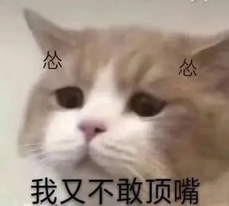 怂怂我又不敢顶嘴