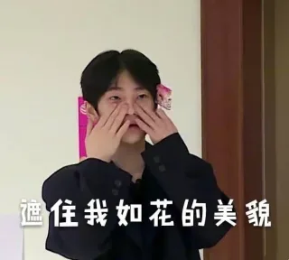 遮住我如花的美貌（周震南表情包）