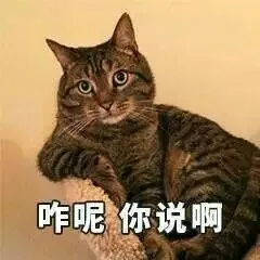 咋呢 你说啊