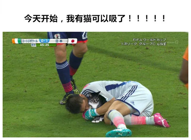 今天开始,我有猫可以吸了!!!!!【2-7一01—日本一1次一=VG（今天开始,我有猫可以吸了!!!!!【2-7一01—日本一1次一=VG）