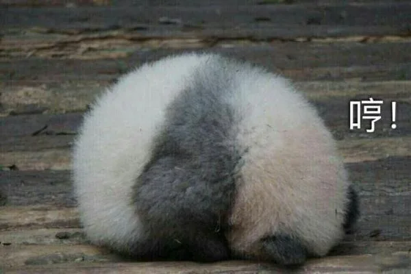 哼，不理你了