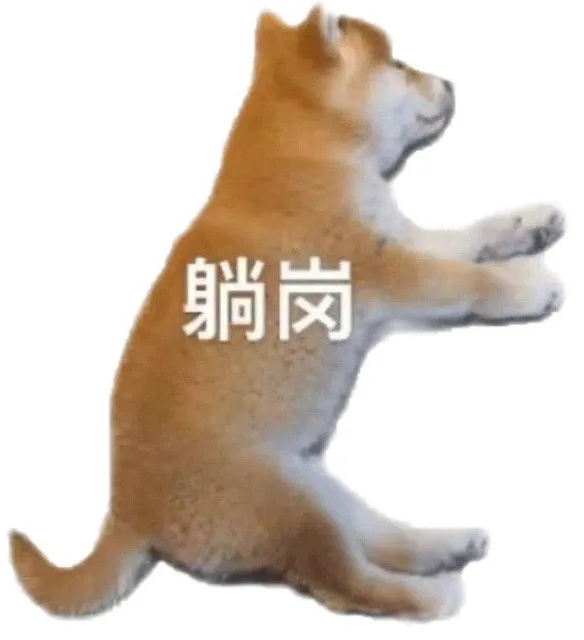 躺岗