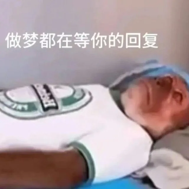 做梦都在等你的回复（做梦都在等你的回复）