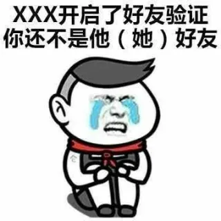 XXX开启了好友验证你还不是他(她)好友