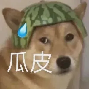 瓜皮（瓜皮）