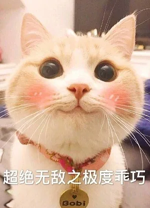 超绝无敌之极度乖巧