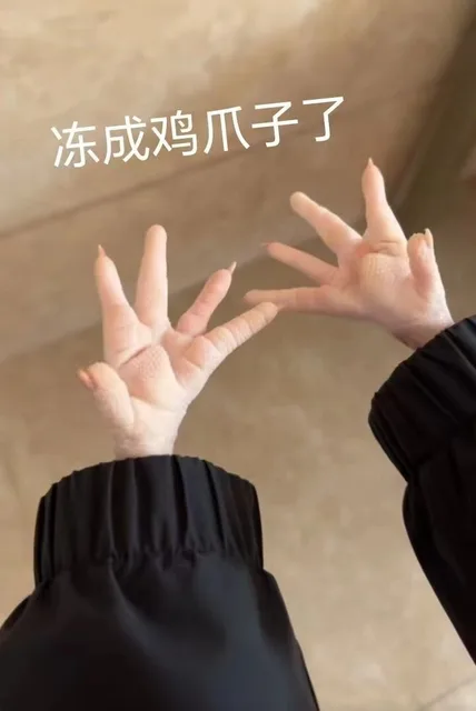 冻成鸡爪子了（冻成鸡爪子了）