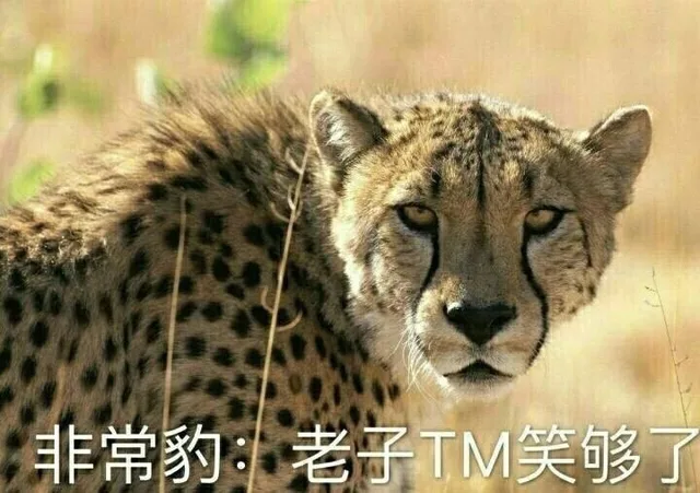 非常豹：老子 TM 笑够了