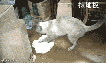 养猫的N种用处