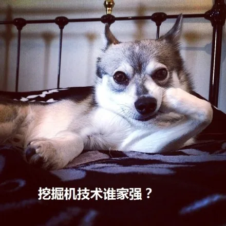 挖掘机技术谁家强？（挖掘机技术谁家强？）