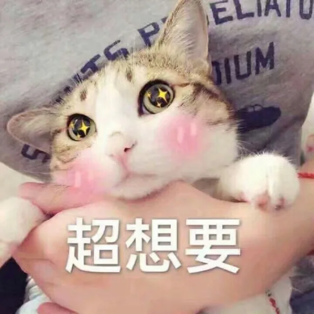 一波喵咪表情包，一起吸猫_喵咪_喵星人_猫