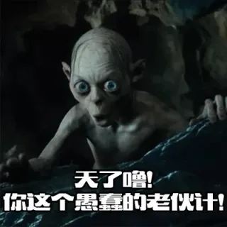 天了噜！你这个愚蠢的老伙计！