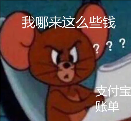 看我支付宝账单的我 太形象了
