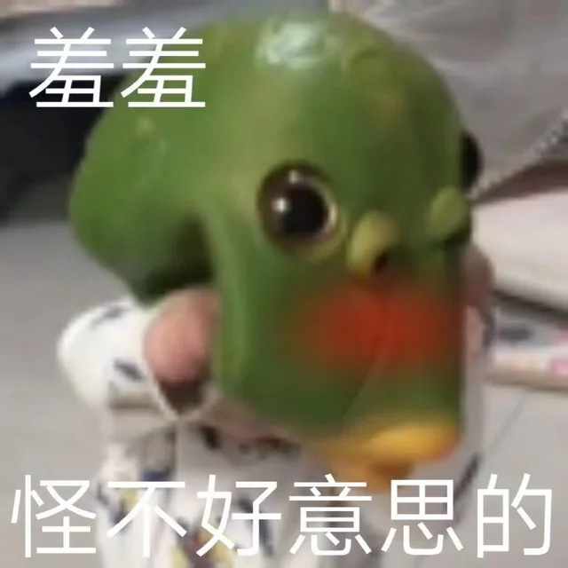 羞羞怪不好意思的（羞羞怪不好意思的）