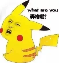 what are you 弄撒嘞？