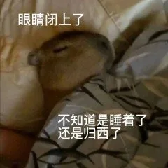 眼睛闭上了不知道是睡着了还是归西了(水豚表情包)（眼睛闭上了不知道是睡着了还是归西了(水豚表情包)）
