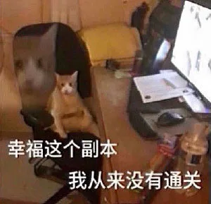 幸福这个副本我从来没有通关（幸福这个副本我从来没有通关）