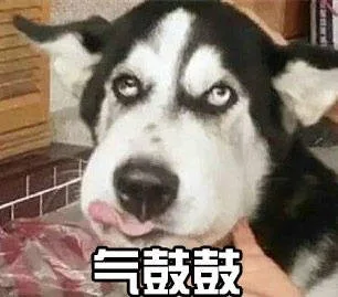 气鼓鼓