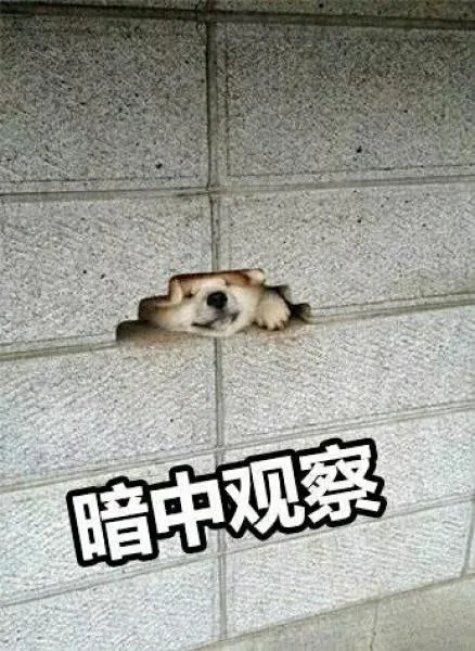 暗中观察