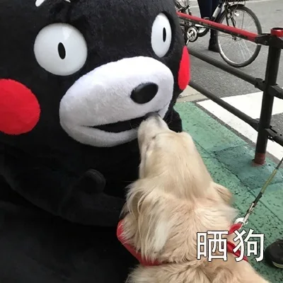 晒狗（晒狗）