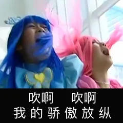 吹啊 吹啊 我的骄傲放纵