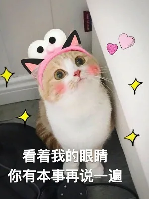 看着我的眼睛你有本事再说一遍（看着我的眼睛你有本事再说一遍）