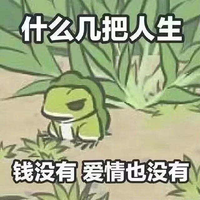 什么几把人生钱没有爱情也没有