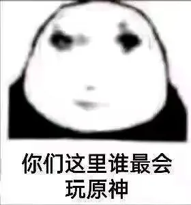 你们这里谁最会玩原神（你们这里谁最会玩原神）