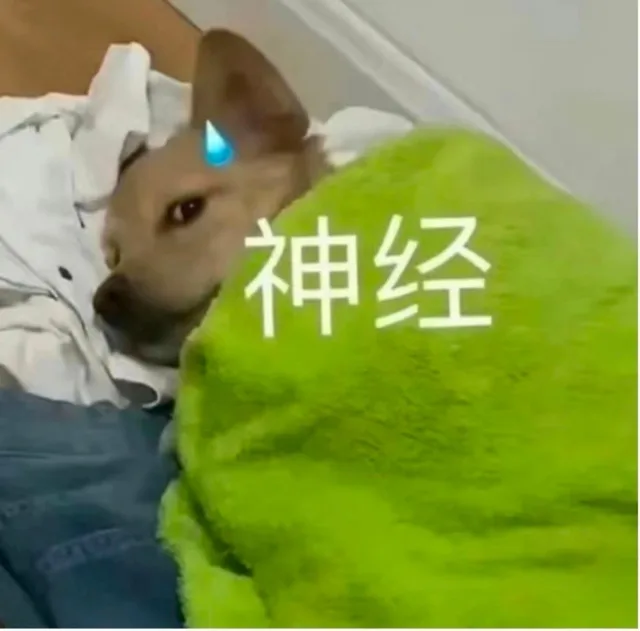 神经（神经）