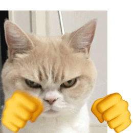 猫咪打拳动图表情包（猫咪打拳动图表情包）