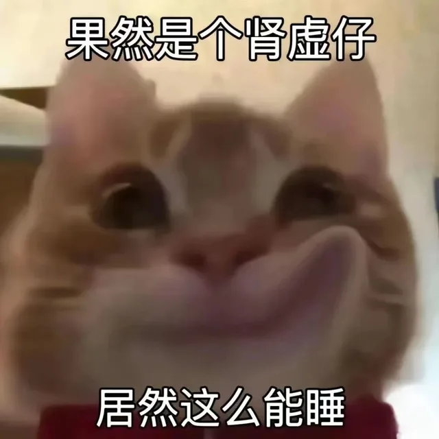 果然是个肾虚仔居然这么能睡（果然是个肾虚仔居然这么能睡）