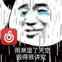 雨淋湿了天空毁得很讲究（雨淋湿了天空毁得很讲究）