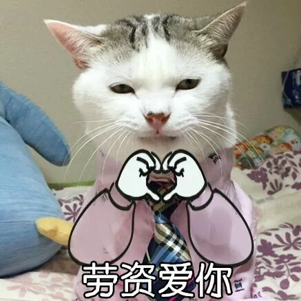 劳资爱你，比心