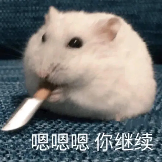 嗯嗯嗯你继续