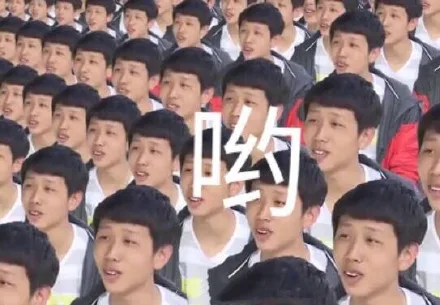 一波新版王境泽表情，真香_王境泽