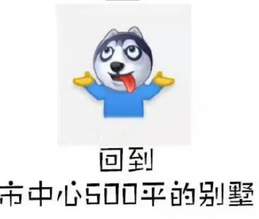 回到市中心500平的别墅