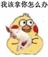 我该拿你怎么办（我该拿你怎么办）