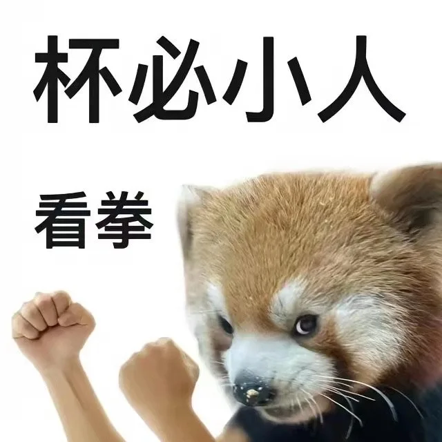 杯必小人看拳(卑鄙小人)（杯必小人看拳(卑鄙小人)）