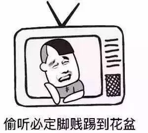 偷听必定脚贱踢到花盆