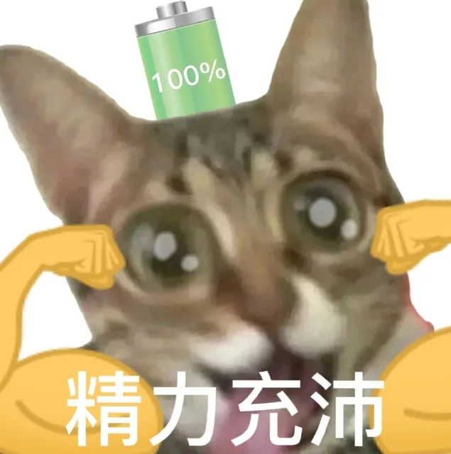 100%精力充沛（100%精力充沛）