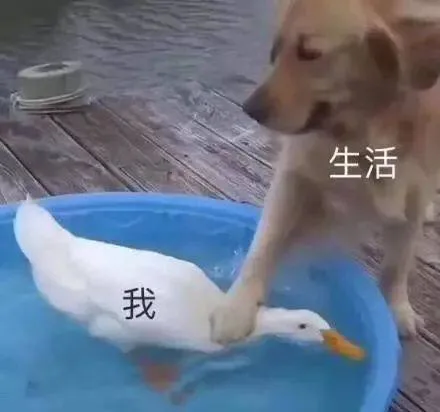 生活我（生活我）
