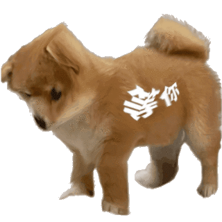 你
