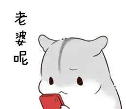 说了多少次 老婆要听话 （小仓鼠）_仓鼠表情包