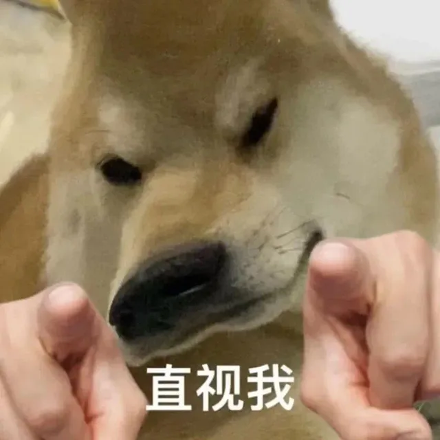 直视我（直视我）
